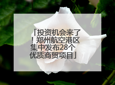 投资机会来了！郑州航空港区集中发布28个优质商贸项目