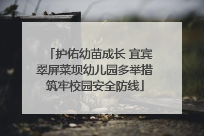 护佑幼苗成长 宜宾翠屏菜坝幼儿园多举措筑牢校园安全防线