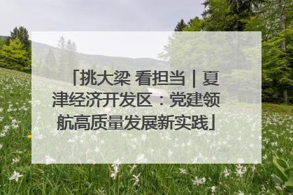 挑大梁 看担当｜夏津经济开发区：党建领航高质量发展新实践