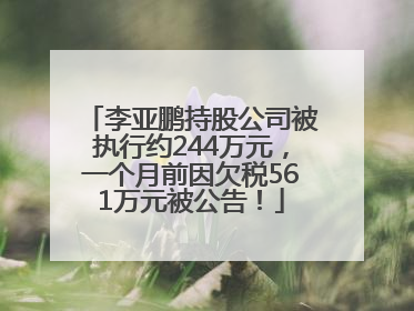 李亚鹏持股公司被执行约244万元，一个月前因欠税561万元被公告！
