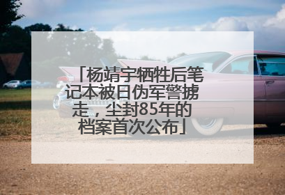 杨靖宇牺牲后笔记本被日伪军警掳走，尘封85年的档案首次公布