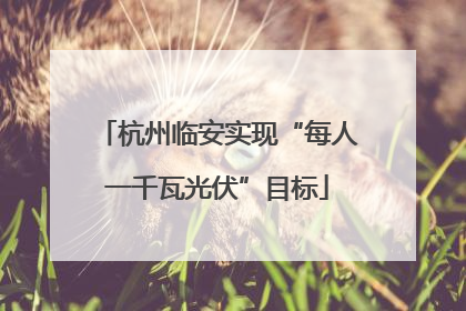 杭州临安实现“每人一千瓦光伏”目标