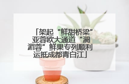 架起“鲜甜桥梁” 亚蓉欧大通道“澜湄蓉”鲜果专列顺利运抵成都青白江