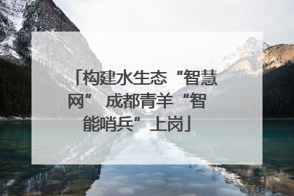 构建水生态“智慧网” 成都青羊“智能哨兵”上岗