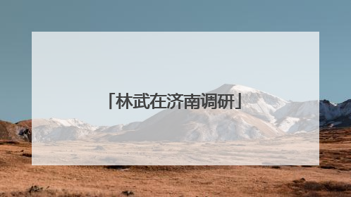 林武在济南调研