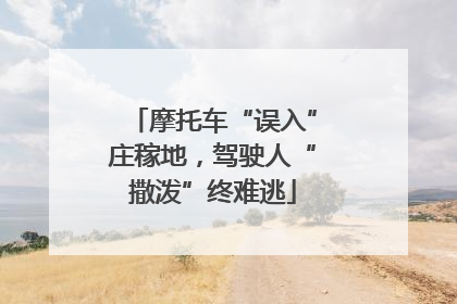 摩托车“误入”庄稼地，驾驶人“撒泼”终难逃