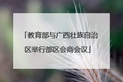 教育部与广西壮族自治区举行部区会商会议