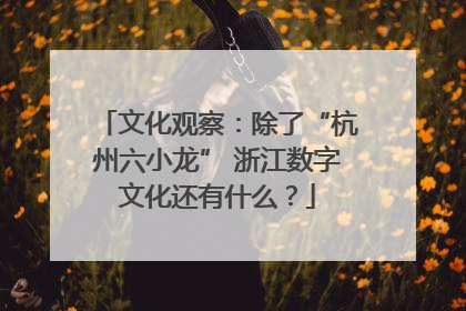 文化观察：除了“杭州六小龙” 浙江数字文化还有什么？