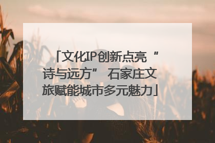 文化IP创新点亮“诗与远方” 石家庄文旅赋能城市多元魅力
