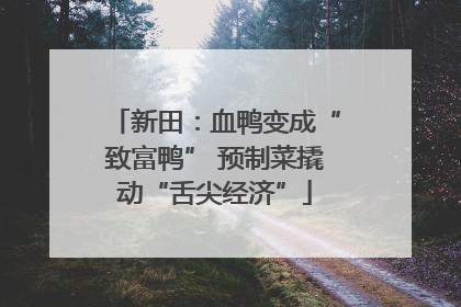 新田：血鸭变成“致富鸭” 预制菜撬动“舌尖经济”