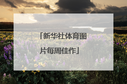 新华社体育图片每周佳作