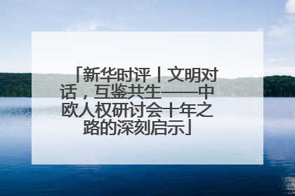 新华时评丨文明对话，互鉴共生——中欧人权研讨会十年之路的深刻启示