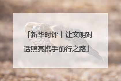新华时评丨让文明对话照亮携手前行之路