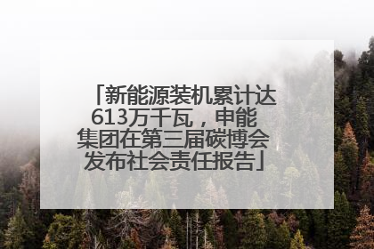新能源装机累计达613万千瓦，申能集团在第三届碳博会发布社会责任报告