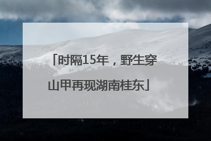 时隔15年，野生穿山甲再现湖南桂东