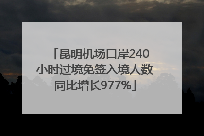 昆明机场口岸240小时过境免签入境人数同比增长977%