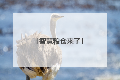智慧粮仓来了