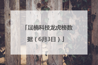 晟楠科技龙虎榜数据（6月3日）