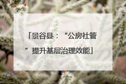 景谷县：“公房社管”提升基层治理效能