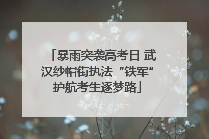 暴雨突袭高考日 武汉纱帽街执法“铁军”护航考生逐梦路