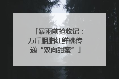 暴雨前抢收记：万斤胭脂红鲜桃传递“双向甜蜜”