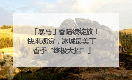 暴马丁香陆续绽放！快来观赏，冰城最美丁香季“终极大招”
