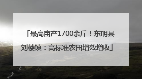 最高亩产1700余斤！东明县刘楼镇：高标准农田增效增收