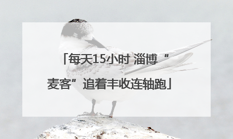 每天15小时 淄博“麦客”追着丰收连轴跑
