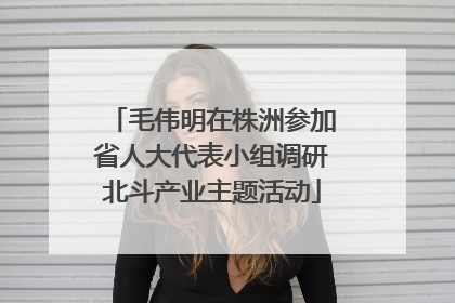 毛伟明在株洲参加省人大代表小组调研北斗产业主题活动