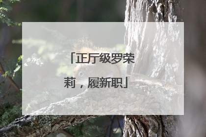 正厅级罗荣莉，履新职