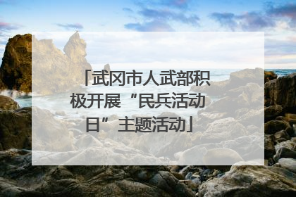 武冈市人武部积极开展“民兵活动日”主题活动