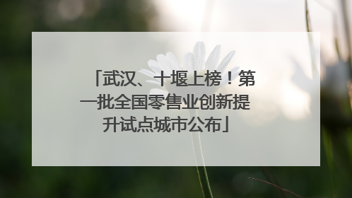 武汉、十堰上榜！第一批全国零售业创新提升试点城市公布