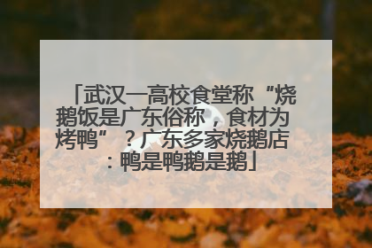 武汉一高校食堂称“烧鹅饭是广东俗称，食材为烤鸭”？广东多家烧鹅店：鸭是鸭鹅是鹅
