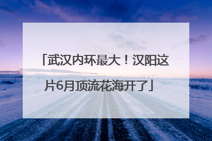 武汉内环最大！汉阳这片6月顶流花海开了