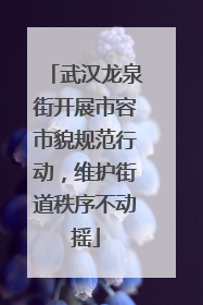 武汉龙泉街开展市容市貌规范行动，维护街道秩序不动摇