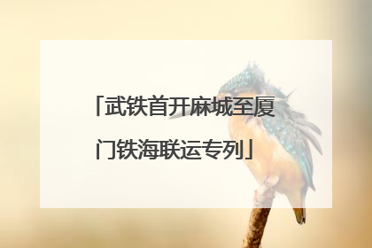 武铁首开麻城至厦门铁海联运专列