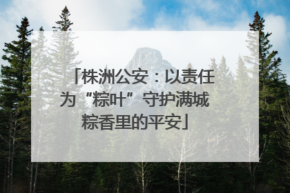 株洲公安：以责任为“粽叶”守护满城粽香里的平安