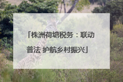 株洲荷塘税务：联动普法 护航乡村振兴