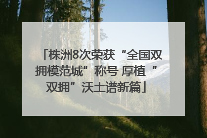 株洲8次荣获“全国双拥模范城”称号 厚植“双拥”沃土谱新篇