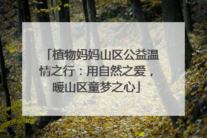 植物妈妈山区公益温情之行：用自然之爱，暖山区童梦之心