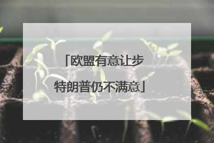 欧盟有意让步 特朗普仍不满意