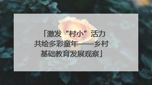 激发“村小”活力 共绘多彩童年——乡村基础教育发展观察