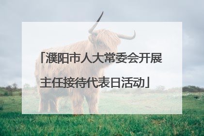 濮阳市人大常委会开展主任接待代表日活动