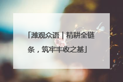 潍观众语｜精耕全链条，筑牢丰收之基
