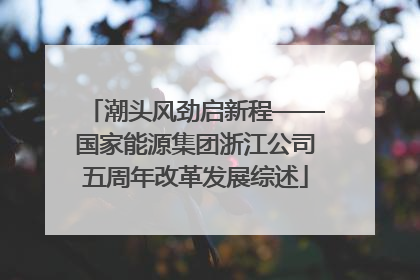 潮头风劲启新程——国家能源集团浙江公司五周年改革发展综述
