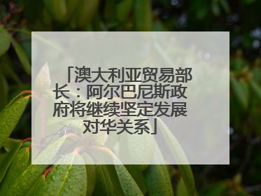 澳大利亚贸易部长：阿尔巴尼斯政府将继续坚定发展对华关系