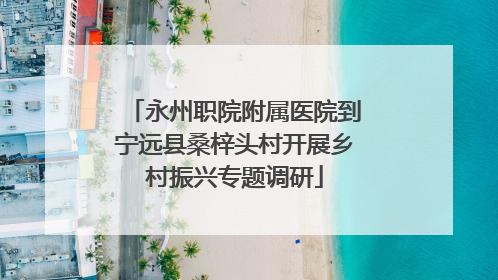 永州职院附属医院到宁远县桑梓头村开展乡村振兴专题调研