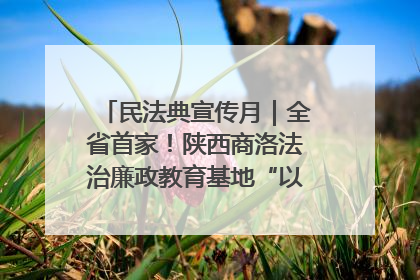 民法典宣传月｜全省首家！陕西商洛法治廉政教育基地“以案说纪”润人心