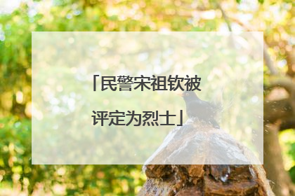民警宋祖钦被评定为烈士