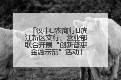 汉中‬农商行‬滨江新区支行、营业部联合开展“创新普惠金融示范”活动